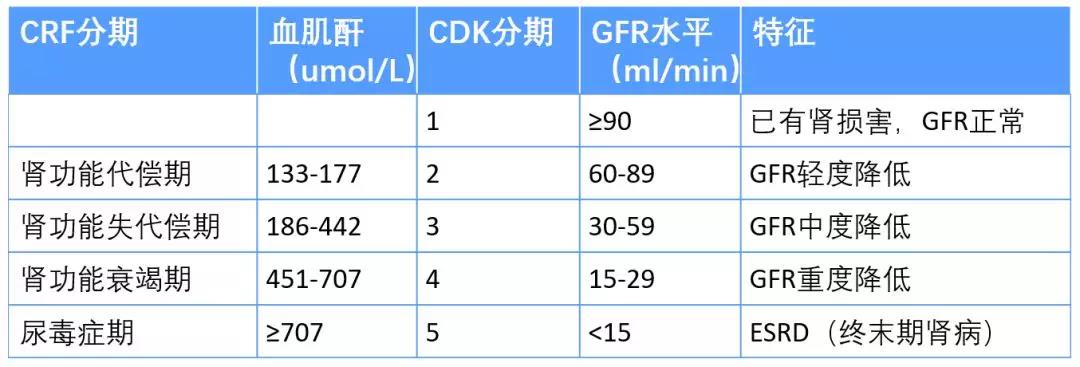 正确认识肌酐升高的临床意义不同阶段应该如何应对