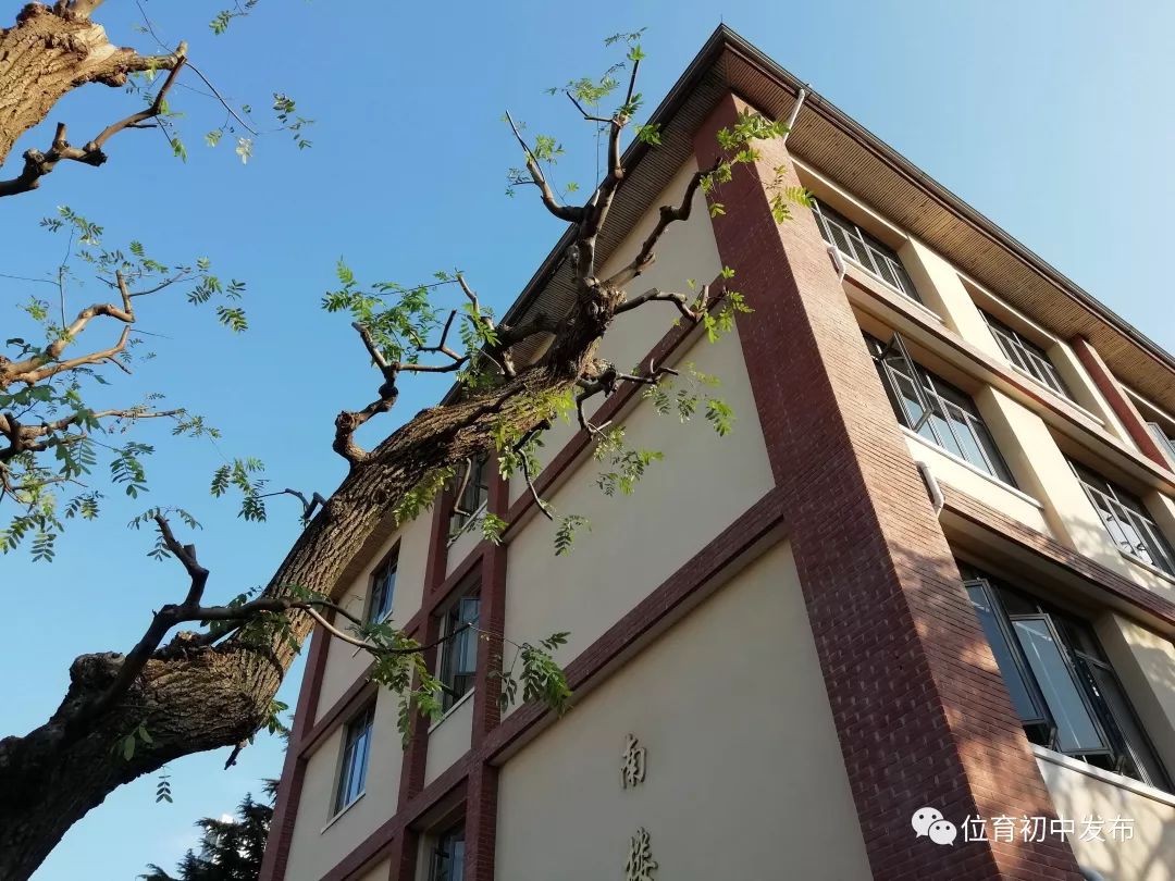 风雨兼程育桃李薪火相传创佳绩图说位育中学位育初级