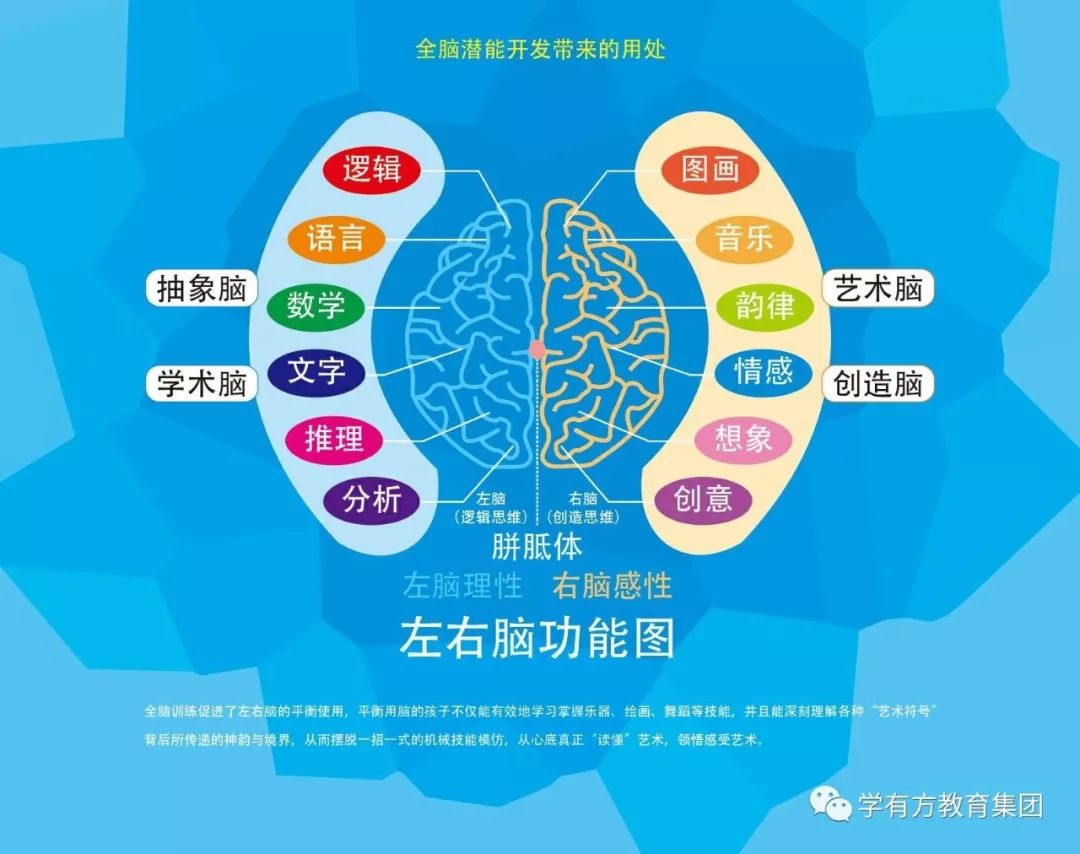 左脑可以称作"意识脑","学术脑","语言脑".