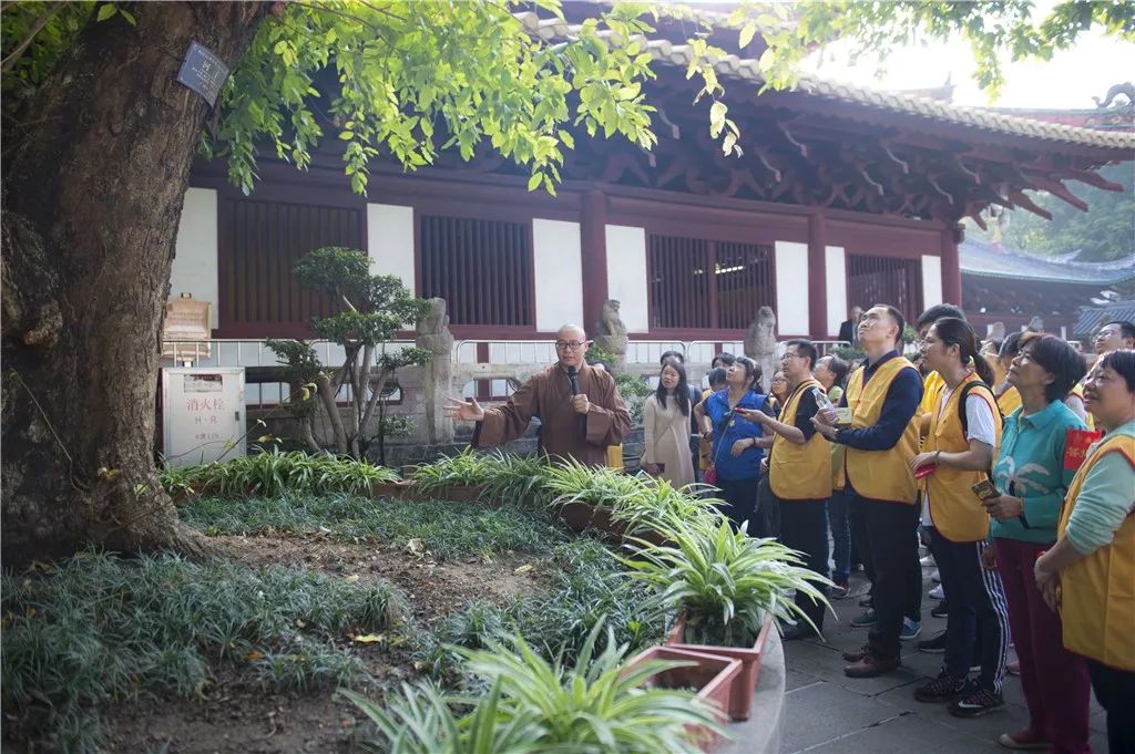 原来寺院可以这样参观光孝寺义工带你感受不一样的寺院生活