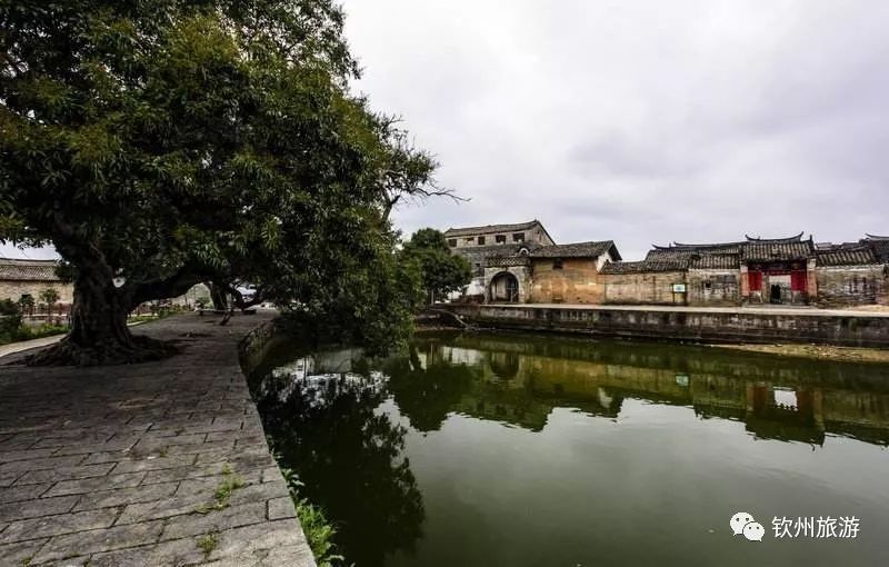 大芦古村是广西三大著名古村之一,位于钦州市灵山县,是一个具有五百