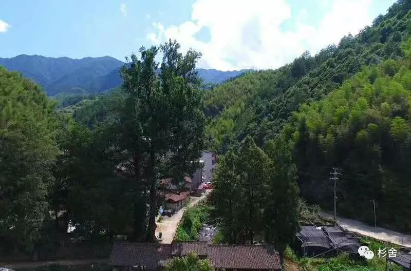 枫坪一路风景里住着的杉杉喜舍