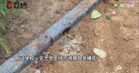 24岁男大学生捅死陪读母亲：关注心理健康才是最好的陪伴~