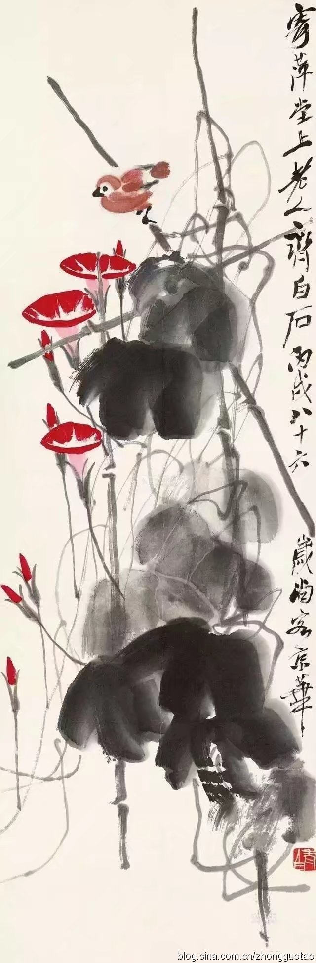 国画大师齐白石作品欣赏:牵牛花,牵牛花,牵牛花!