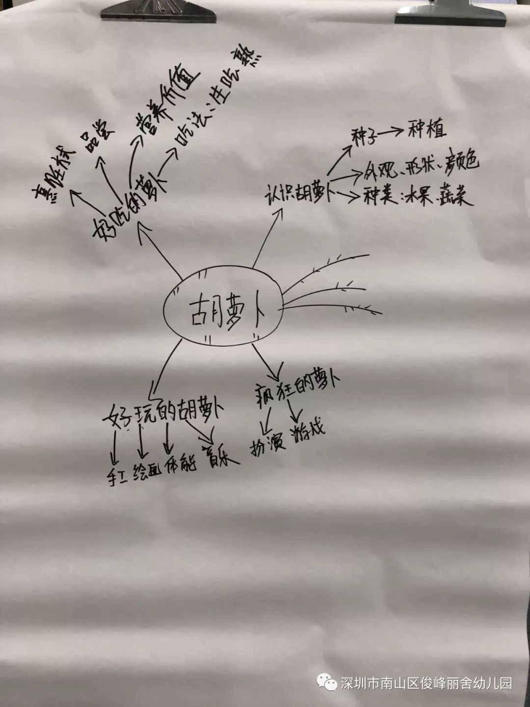 分小组研讨——小班主题预设网络《胡萝卜》 小组代表分享预设主题