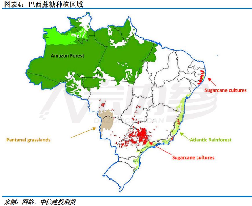 巴西是农业生产大国,有广阔平坦的土地用来种植甘蔗.