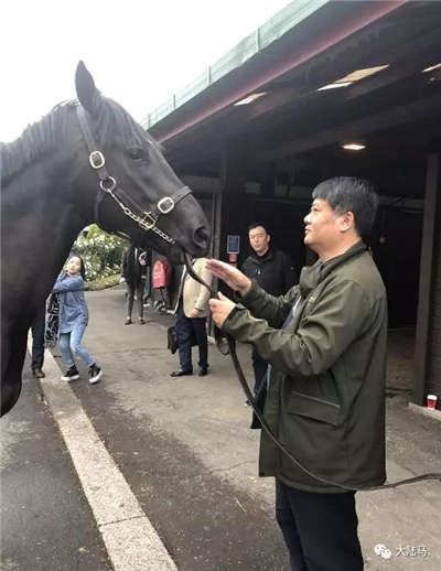 莱德马业卡拉卡拍卖会首日买卖两端表现抢眼