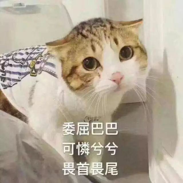 外卖评价回复大全