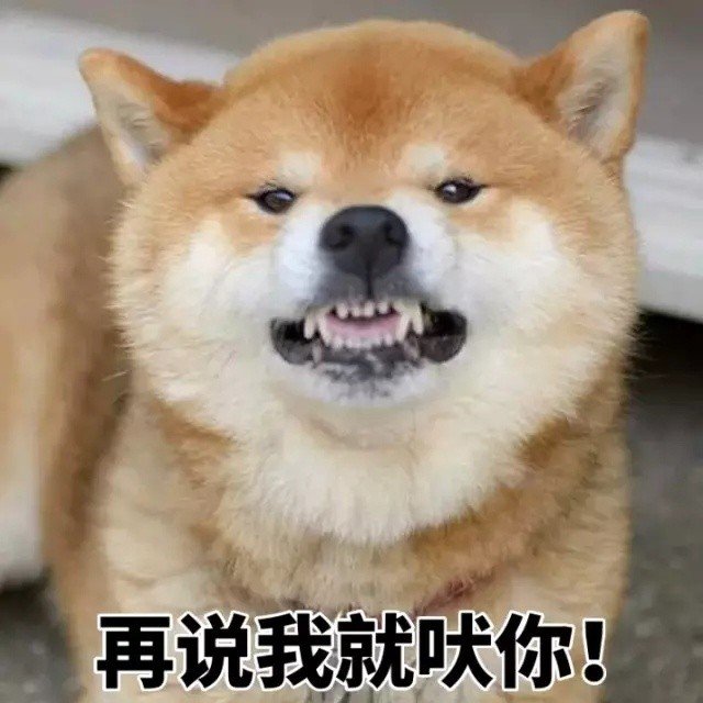 柴犬一集表情包