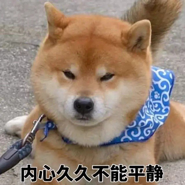 柴犬一集表情包