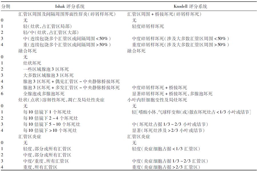 慢性肝炎病理学分级分期评分系统比较_肝纤维化