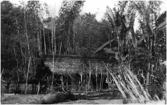 63年前的阿佤山区,这些佤族老照片让人看了激动不已