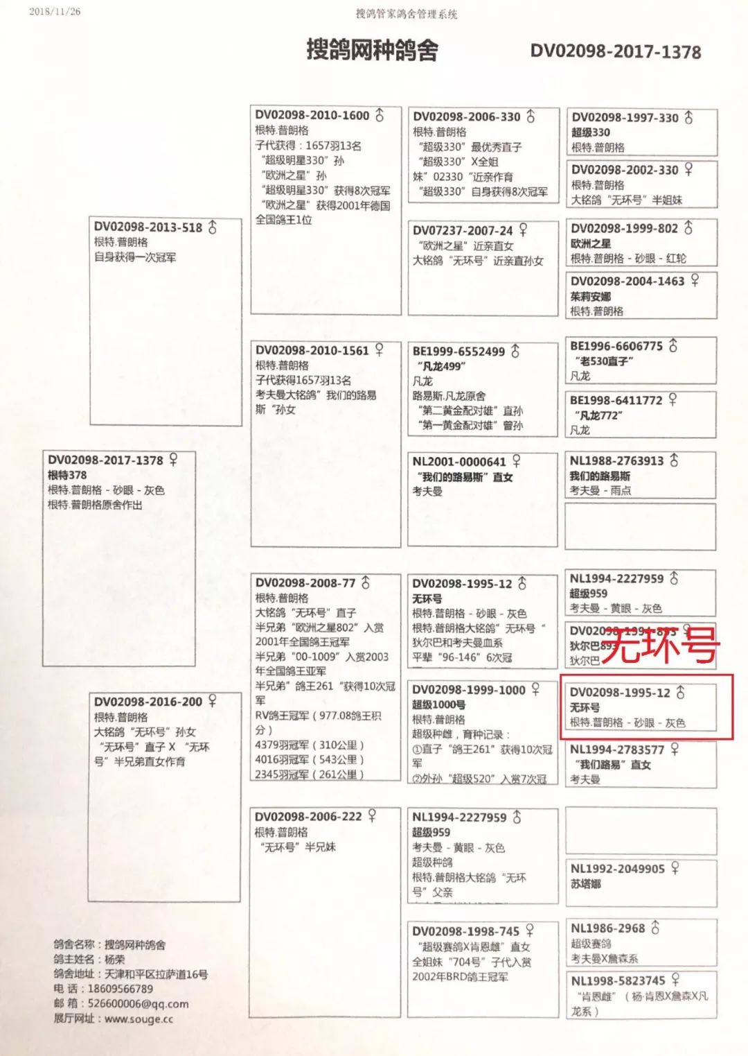 奶酪x无环号血统铭鸽免费抽