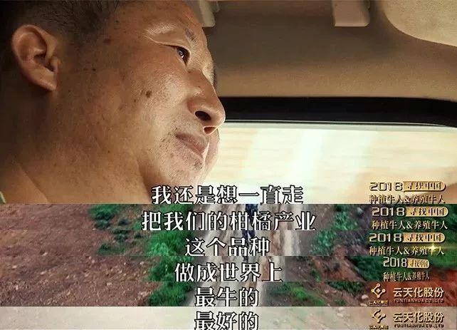 12万亩果园抢占市场空白沃柑成就他的亿万身家