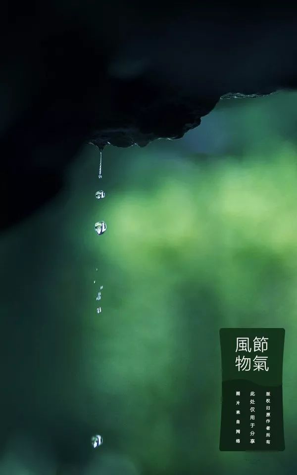 冬雨湿意创意雅意用意禅意