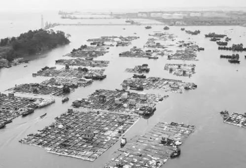 东港区人口_日照东港区人民医院这个岗位招聘100人