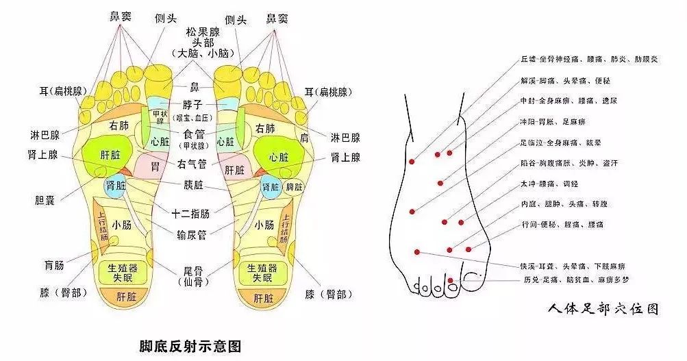 准备这双光脚神器入冬,再也不怕脚冷了!