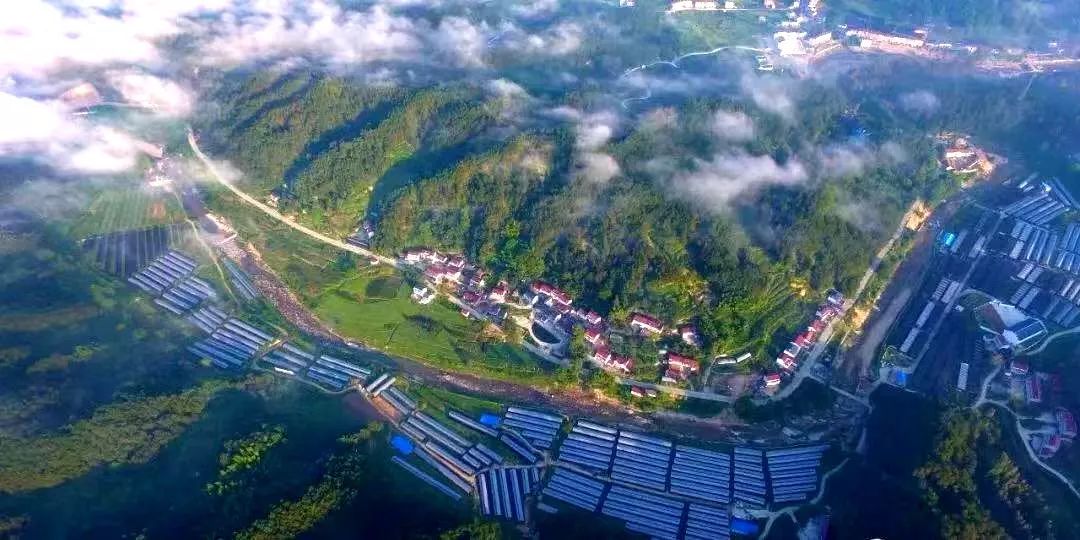 霍山县太平畈乡