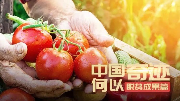 【一周新闻】|中国何以奇迹,你我皆是见证