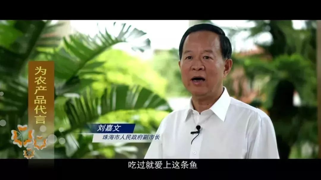 珠海市人民政府副市长,刘嘉文