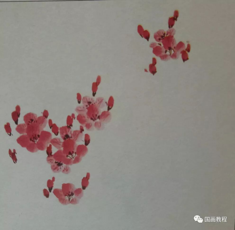 国画教程杜鹃花的入门画法