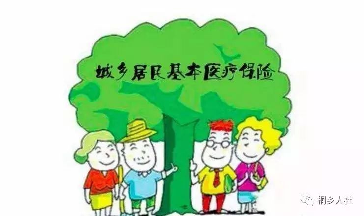 出境医疗保险 2019城乡居民基本医疗保险缴费