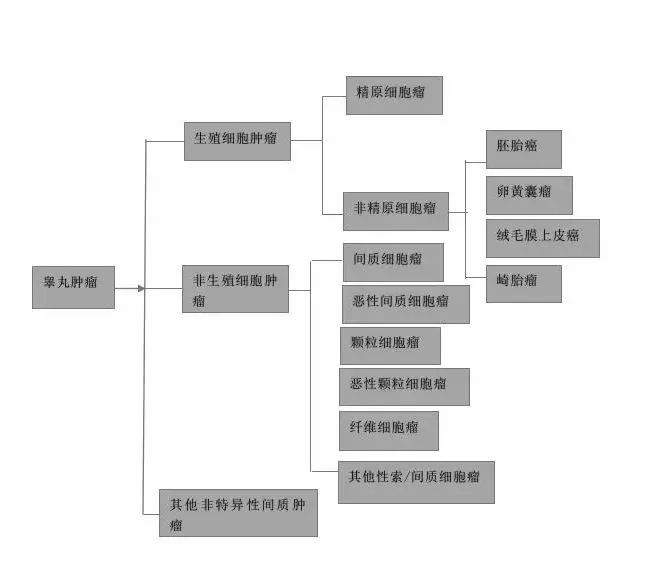 浅谈小儿睾丸肿瘤