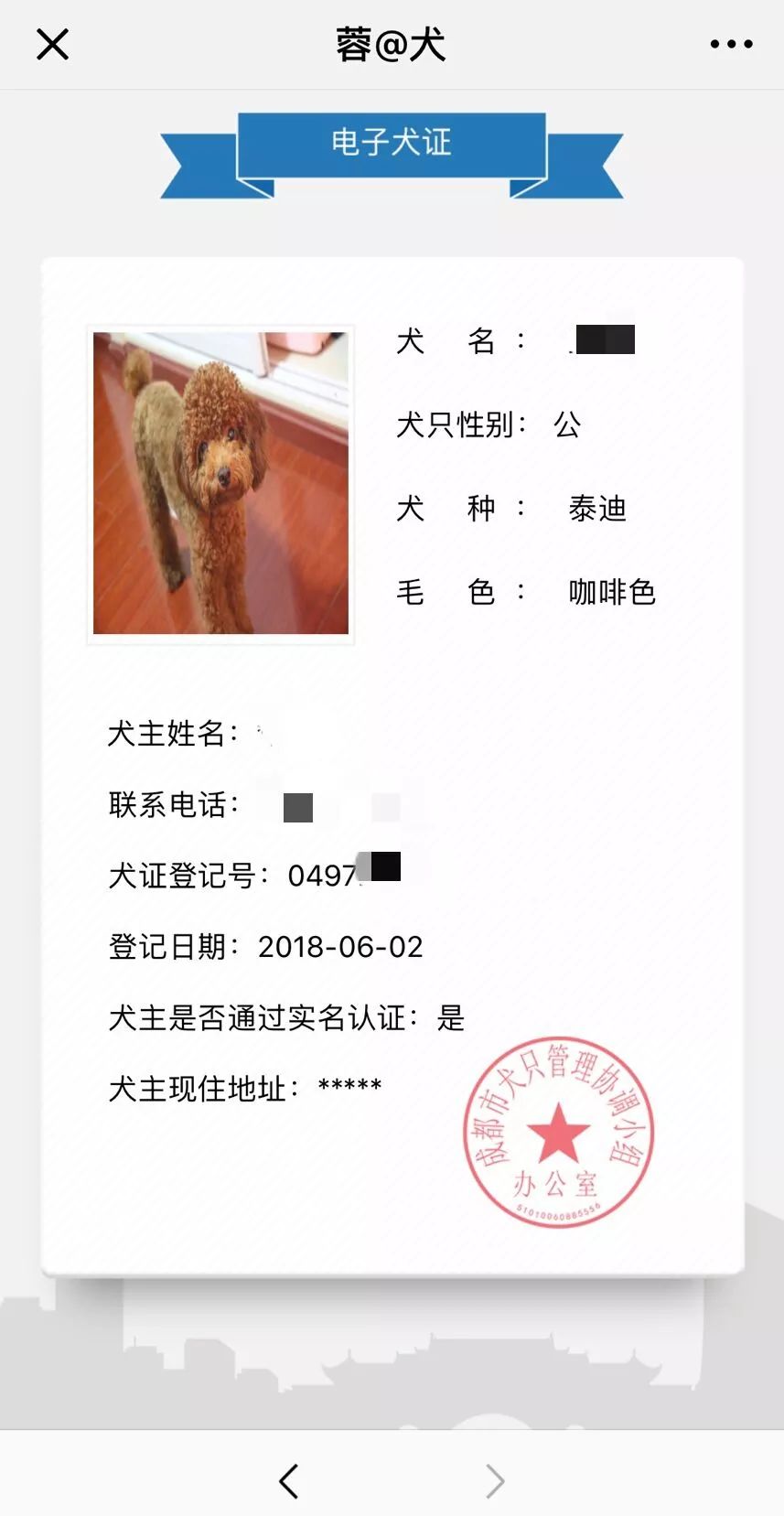 成都电子犬证正式上线手机办理教程图解版