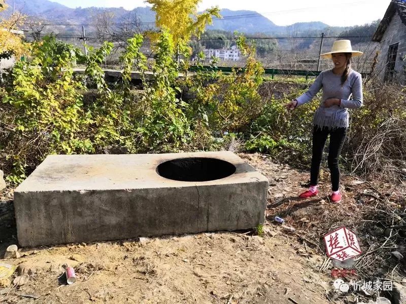 离奇!老汉八十大寿杀猪,竟被垂死挣扎的猪踢进开水锅