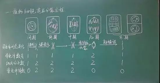 教师资格证面试板书技巧都在这里了,另附各学