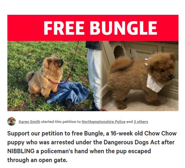 咬警察的松狮犬Bungle，被判9个月监禁