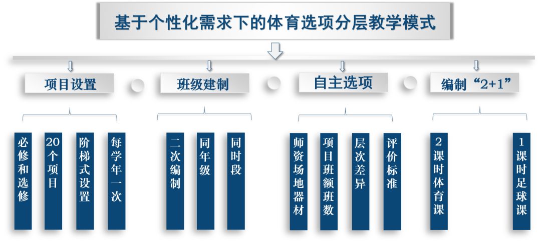 基于"个性化"需求下的体育"选项分层"教学结构图