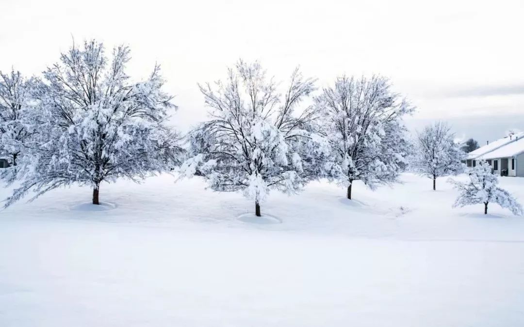 寿阳曲·江天暮雪元代:马致远天将暮,雪乱舞,半梅花半飘柳絮.