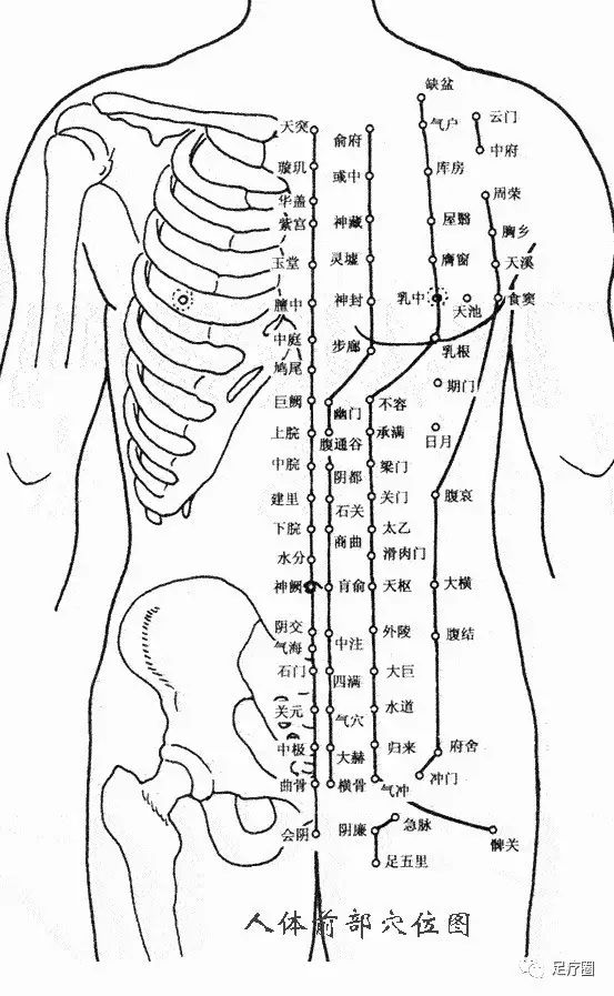 全身穴位图解收藏到手机随时可以看