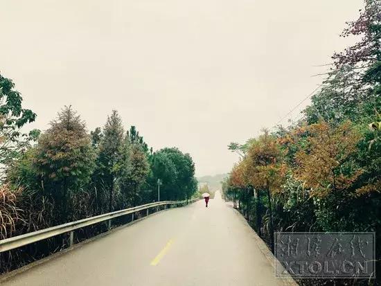 湖南湘潭最美绿色通道——韶井公路：车在景中行，人在画中走