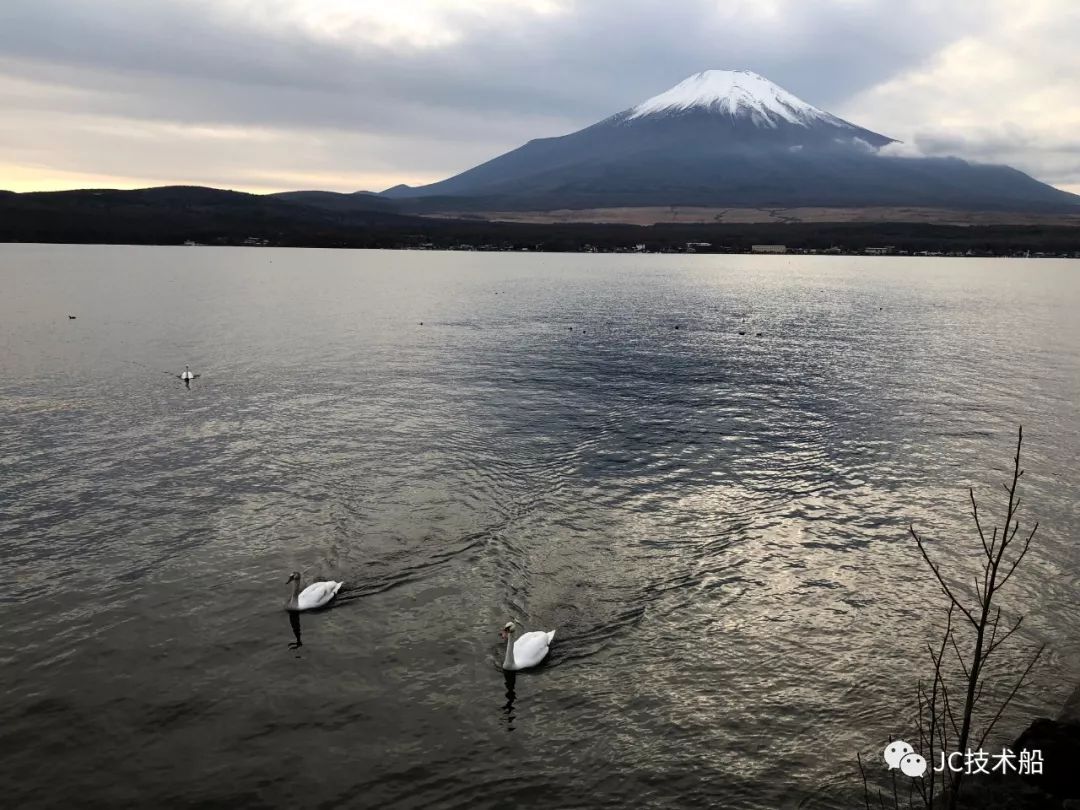 你们要的富士山五湖攻略来了红叶季