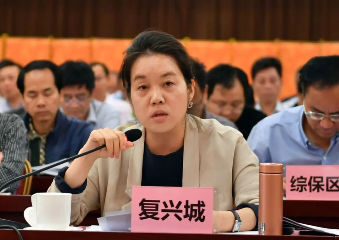 海南复兴城产业园投资管理有限公司总裁 王喜欢为民营企业提供"一站