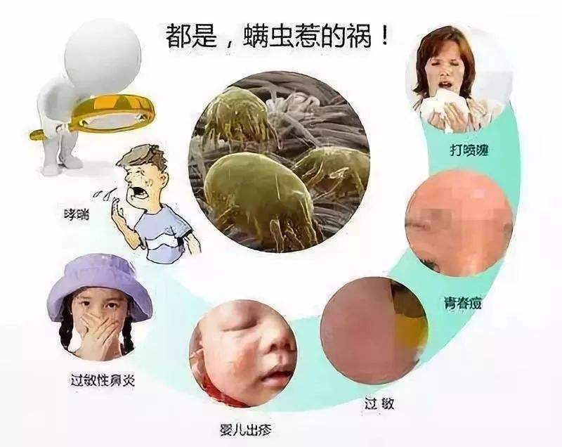 自从家里有了"她",妈妈再也不用担心螨虫的困扰!