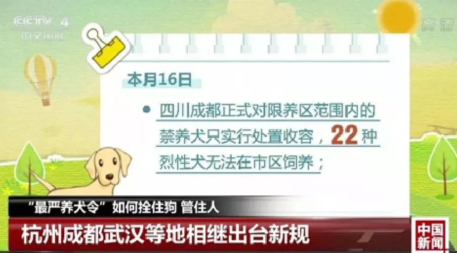 成都正式对限养区范围内的禁养犬只实行处置收容22种烈性犬无法在市区