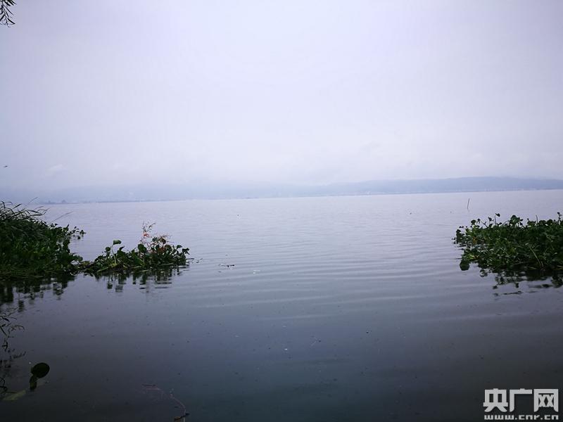 杞麓湖  杞麓湖位于云南省玉溪市通海县境内,是高原陷落性内陆湖泊