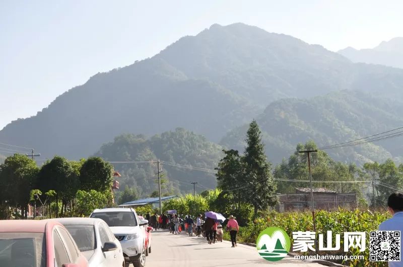 11月27日,在蒙山县文圩镇羽生谷景区举办了蒙山县首届"中国农民丰收