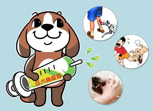 问题四:打了狂犬疫苗以后,发烧了怎么办?