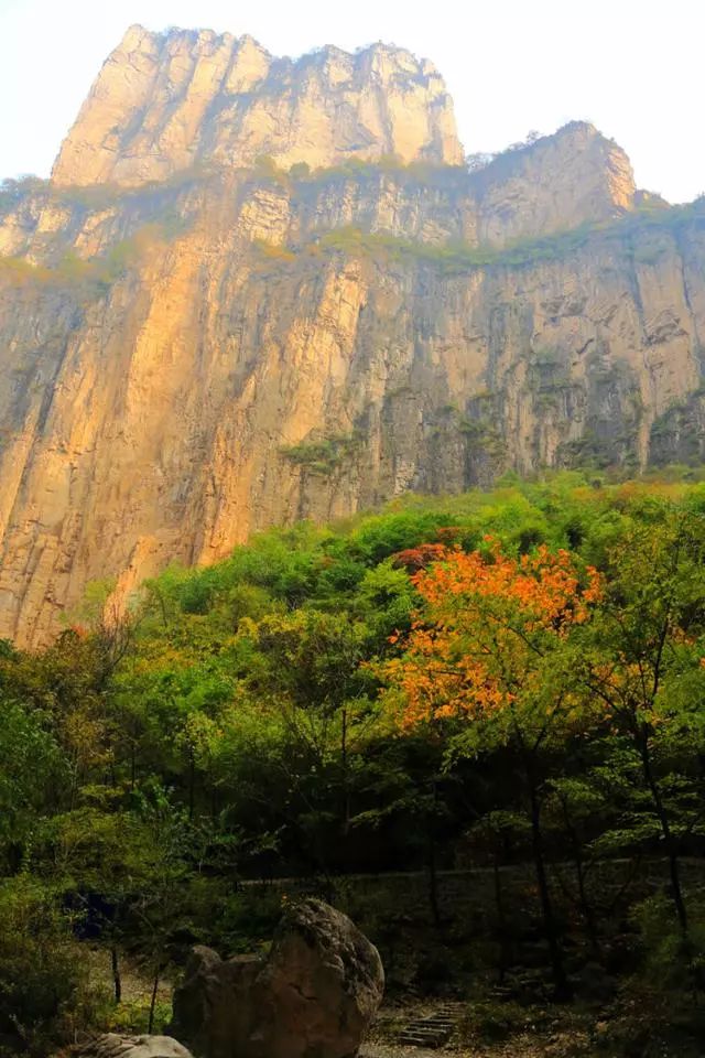 地址:山西省平顺县东寺头乡 免责声明:文字及图片来源于网络,仅供学习