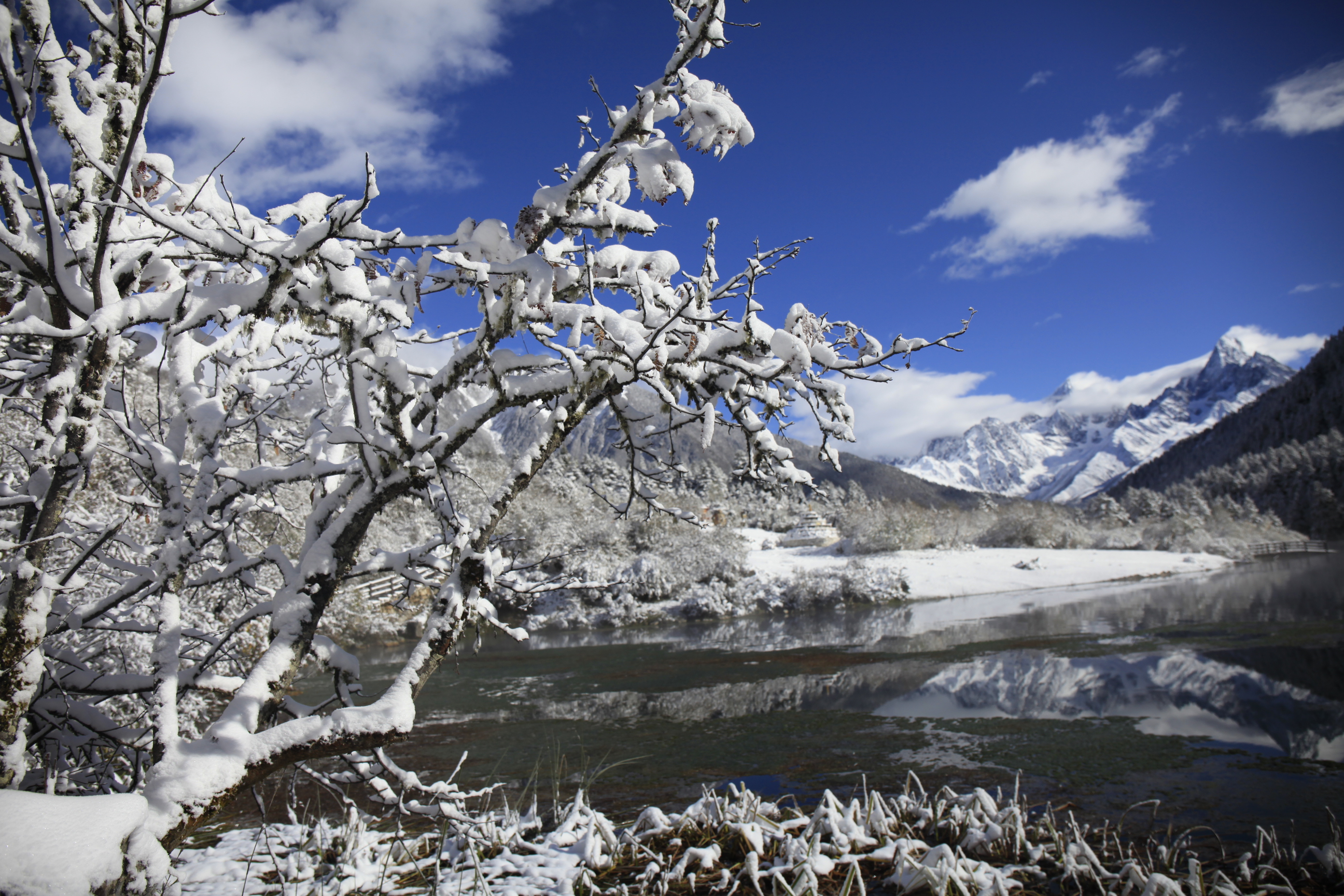 雪景来啦!快来康定情歌风景区趁机泡温泉赏雪景