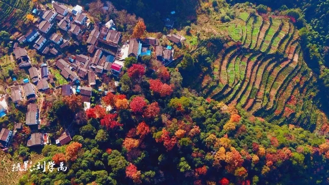 黄山市区县经济总量排名_黄山市区(3)