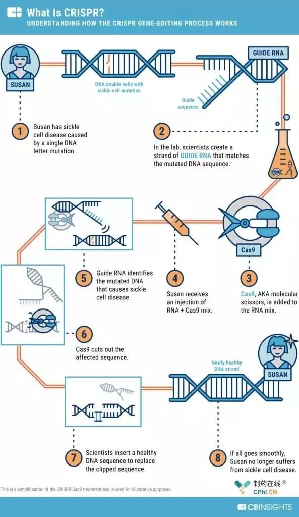 Crispr Cas