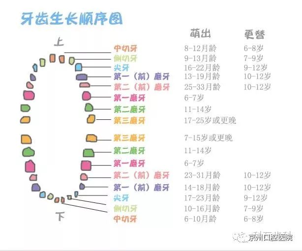 笑出整齐"八颗牙"||孩子换牙期那些事_牙齿