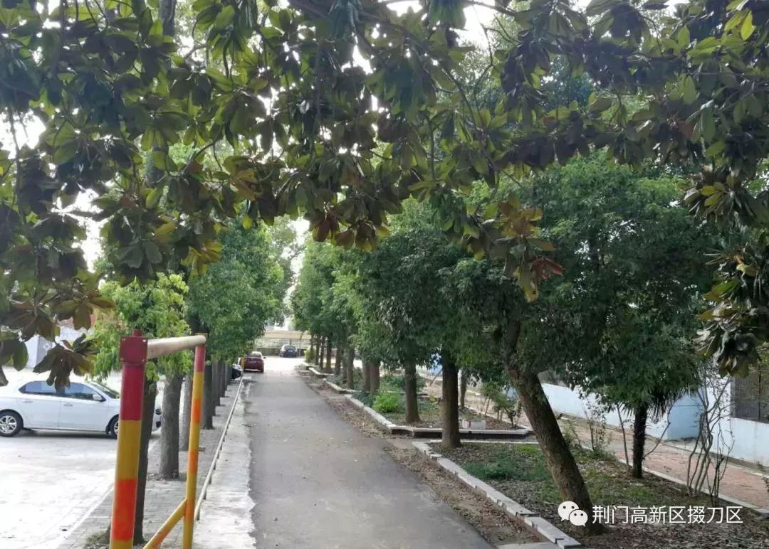 2018年度湖北省绿色乡村名单荆门市只有起点,没有终点荆门将继续深化