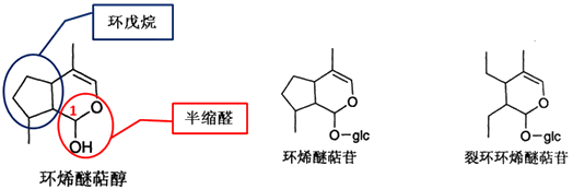 具有半缩醛及环戊烷环的结构特点,其半缩醛1位羟基性质不稳定,故环烯