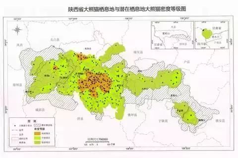 大熊猫栖息地与密度等级图◎图自网络